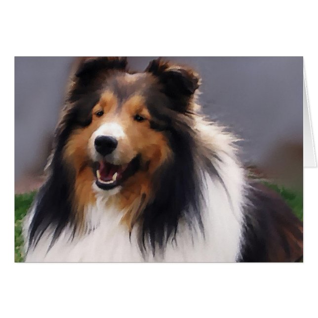 Shetland Sheepdog Sheltie Gifts (Front Horizontal)