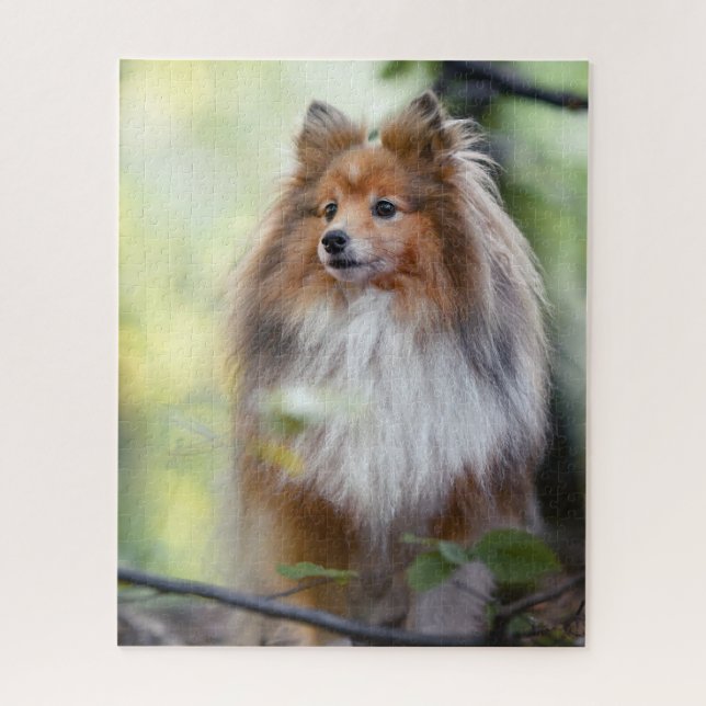 Shetland Sheepdog Sheltie little dog in forest Jigsaw Puzzle (Vertical)