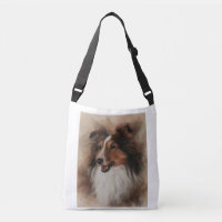 Shetland Sheepdog Sheltie smiling