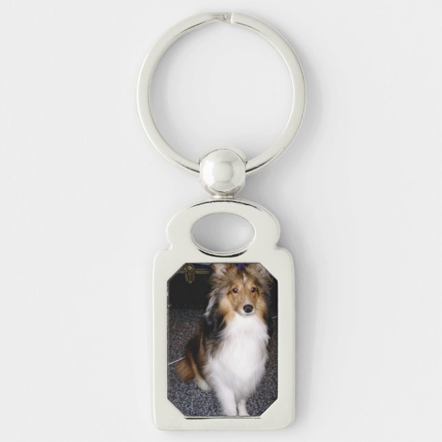 shetland sheepdog sitting 2 key ring (Front)