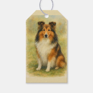 Shetland Sheepdog Sitting Watercolor Gift Tags