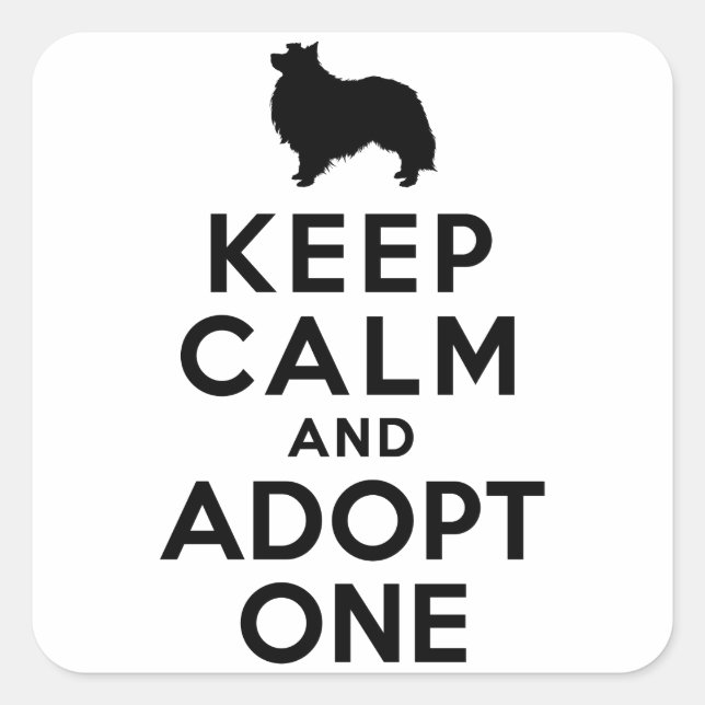 Shetland Sheepdog Square Sticker (Front)