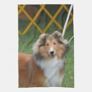 Shetland Sheepdog Tea Towel