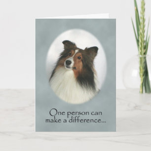Shetland Sheepdog Thank You Card