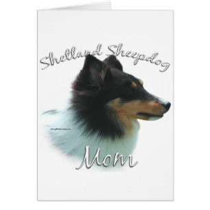Shetland Sheepdog (tri) Mum 2