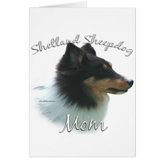 Shetland Sheepdog (tri) Mum 2 (Front)
