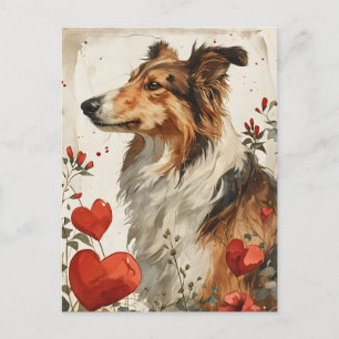 Shetland sheepdog Vintage Valentine's day Postcard