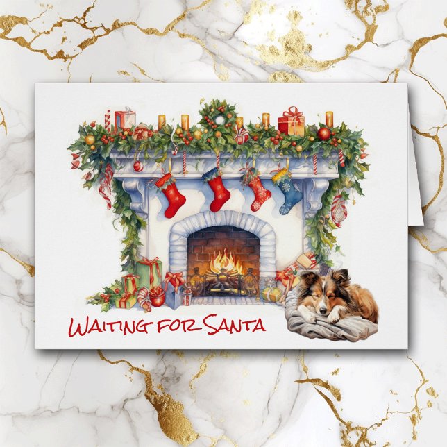 Shetland Sheepdog Waiting for Santa (Creator Uploaded)