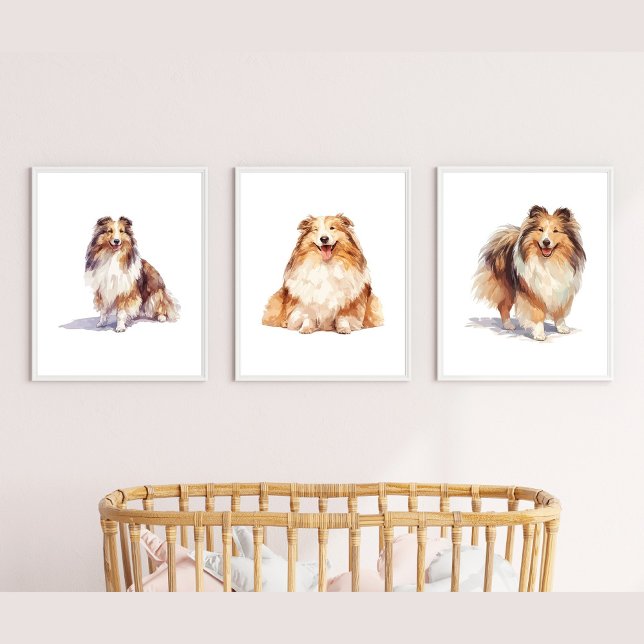 Shetland Sheepdog Wall Art, Sheltie Puppy Art (Creator Uploaded)