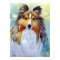 Shetland Sheepdog Wall Print