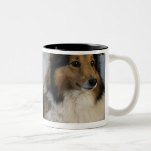 Shetland Sheepdogs Two-Tone Coffee Mug