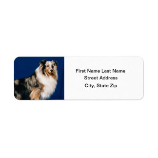 Shetlie (Merle) Return Address Label