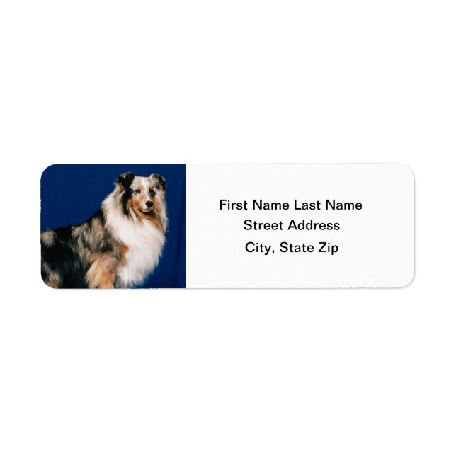 Shetlie (Merle) Return Address Label (Front)
