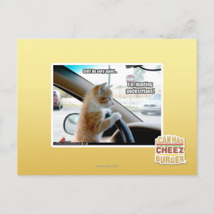 Shh! Be very quiet Postcard