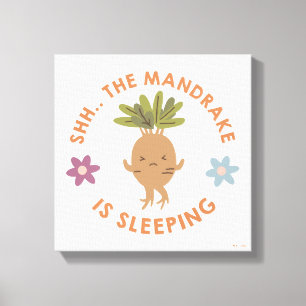 Shh.. The Mandrake Is Sleeping Canvas Print