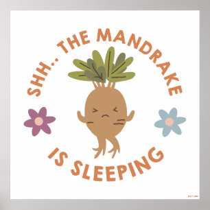 Shh.. The Mandrake Is Sleeping Poster