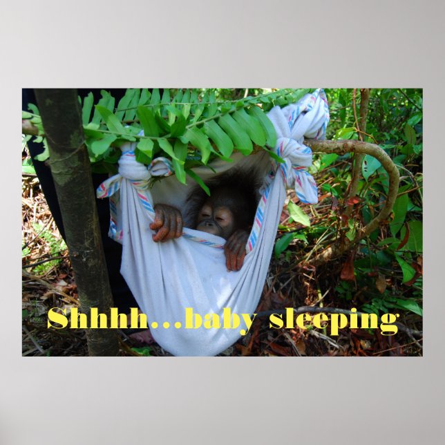 Shhh Baby Sleeping Poster (Front)