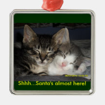 Shhh...Santa's almost here!