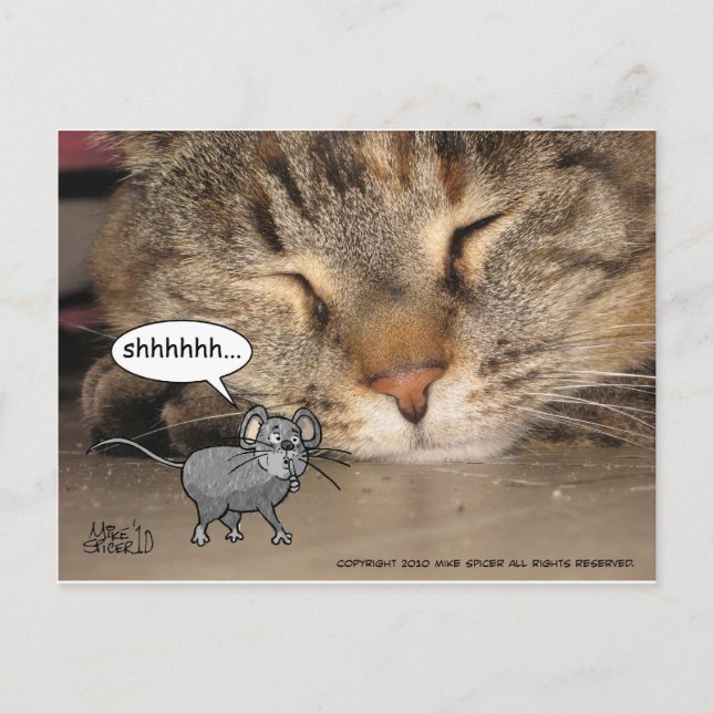 Shhhhhhh... Postcard (Front)