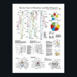 Shiatsu Acupuncture Meridians and Hara Diagnosis Poster<br><div class="desc">Unique reference chart for Shiatsu and Massage Practitioners. Shiatsu chart showing the twelve main meridians, Governing vessel and conception vessel. Starting and ending locations for each meridian, five element relationships and time of day when each meridian is most active. The Alarm and Back Shu point locations. Hara diagnosis and their...</div>