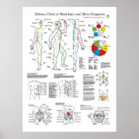 Shiatsu Acupuncture Meridians and Hara Diagnosis