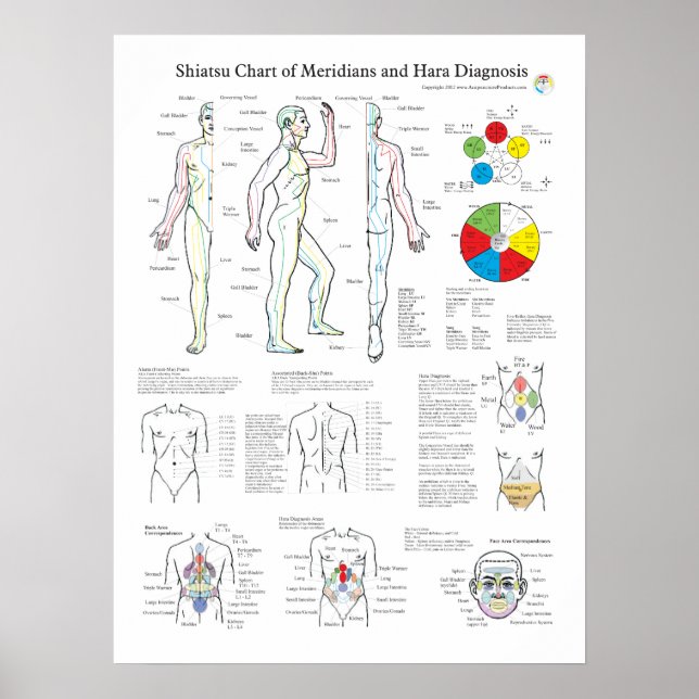 Shiatsu Acupuncture Meridians and Hara Diagnosis Poster (Front)