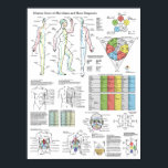 Shiatsu Acupuncture Meridians Hara Diagnosis Chart<br><div class="desc">Shiatsu chart showing the twelve main meridians, Governing vessel and conception vessel. Starting and ending locations for each meridian, five element relationships and time of day when each meridian is most active. The back of the chart shows the Alarm and Back Shu point locations. Hara diagnosis and their relationship to...</div>