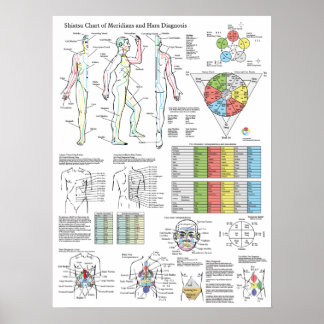 Shiatsu Acupuncture Meridians Hara Diagnosis Chart