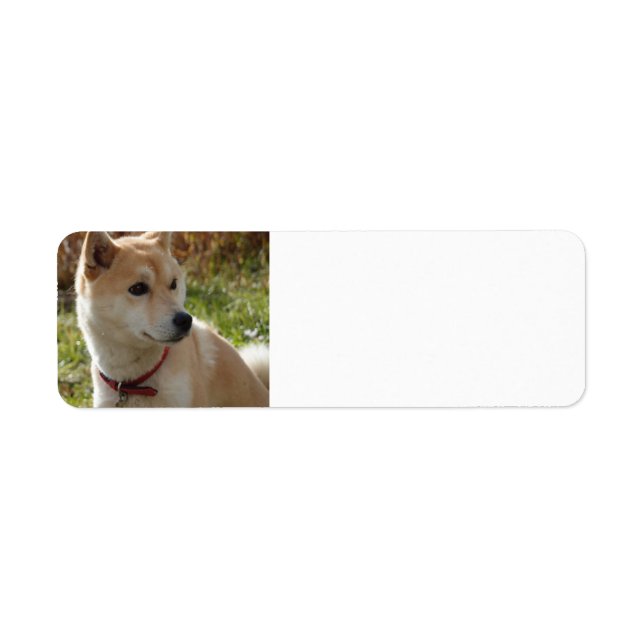 shiba cream return address label (Front)