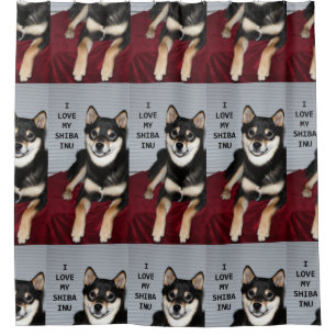 shiba full black and tan love w pic shower curtain