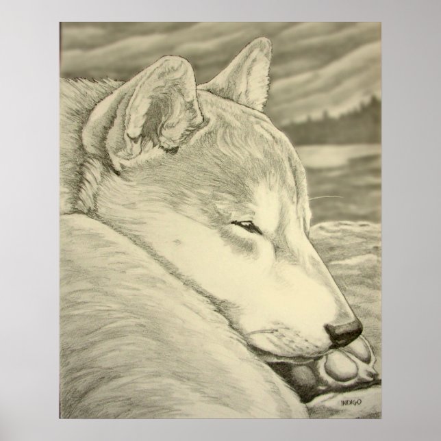 Shiba Inu Art Poster Dog Art Poster Shiba Inu Gift (Front)