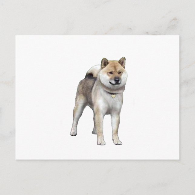 Shiba Inu (C) Postcard (Front)