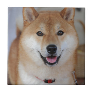 Shiba_inu Ceramic Tile