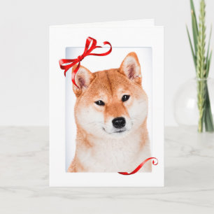 Shiba Inu Christmas Card
