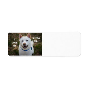 shiba-inu-cream love w pic return address label