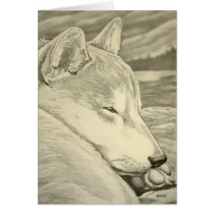 Shiba Inu Dog Art Cards Blank Shiba Inu Cards