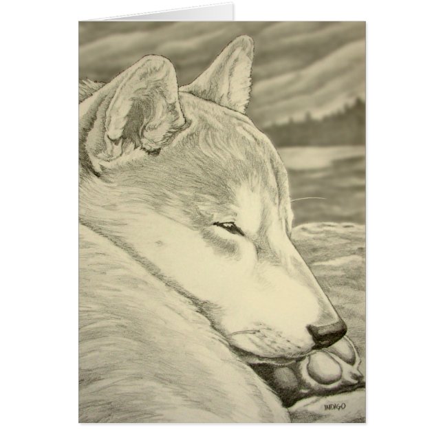 Shiba Inu Dog Art Cards Blank Shiba Inu Cards (Front)