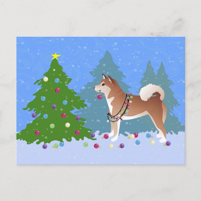 Shiba Inu Dog Decorating Christmas Tree Holiday Postcard (Front)