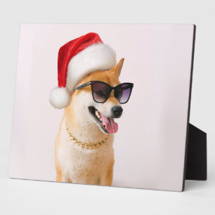 Shiba Inu dog in Santa Claus red hats Plaque
