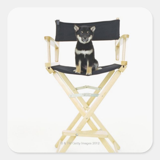 Shiba Inu dog on director's chair Square Sticker (Front)