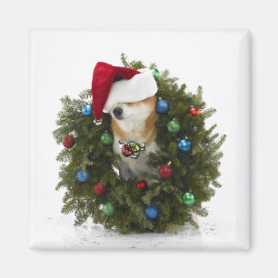 Shiba Inu dog wearing Santa hat sitting in Magnet