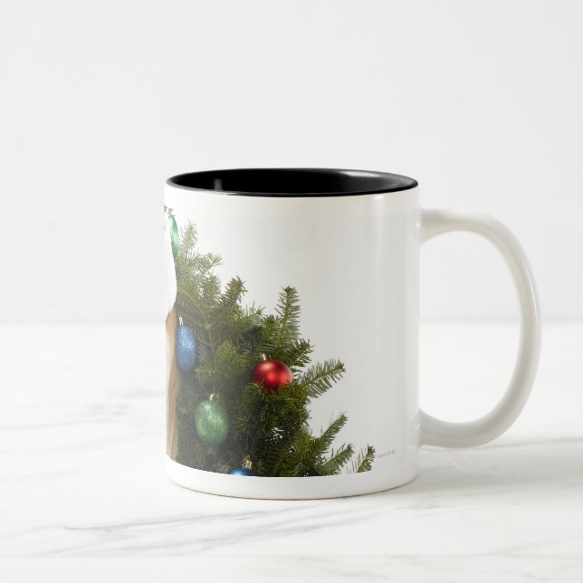 Shiba Inu dog wearing Santa hat sitting in Two-Tone Coffee Mug (Right)
