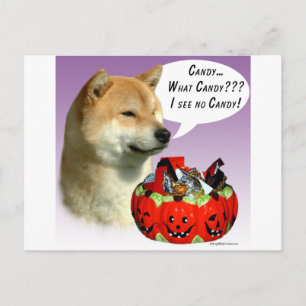 Shiba Inu Halloween Candy Postcard