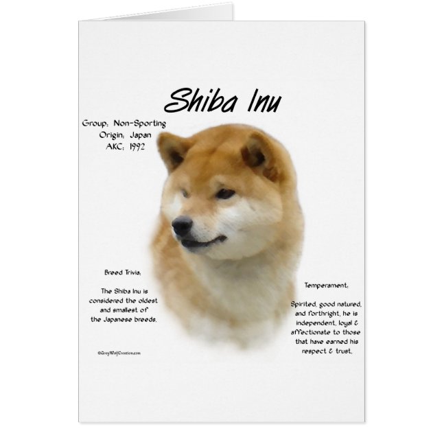 Shiba Inu History  (Front)