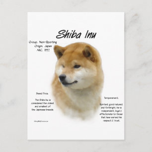 Shiba Inu History  Postcard