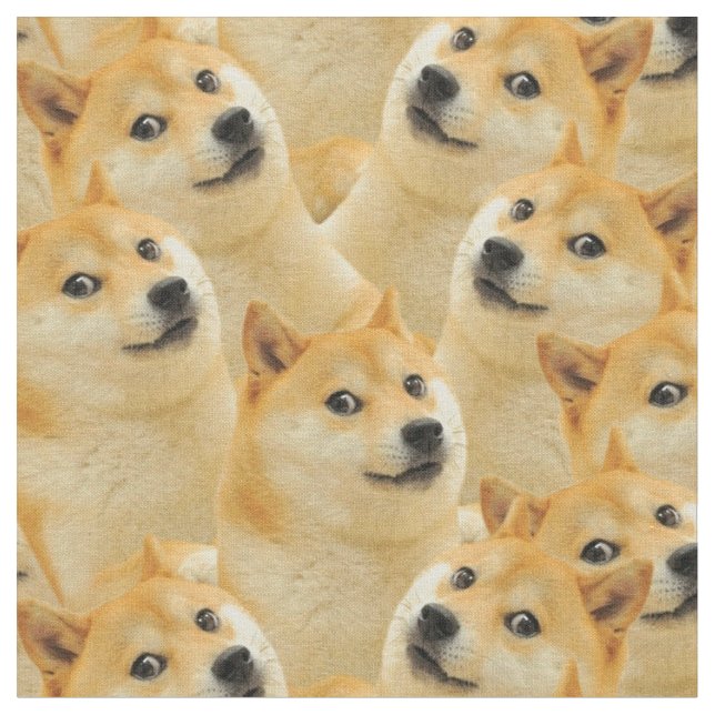 Shiba Inu, Husky, Golden Cute Dog. Cute Puppy Fabric (Close Up)