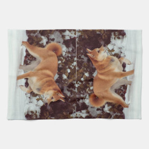 Shiba Inu Kitchen Towels