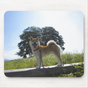 Shiba Inu Mouse Pad