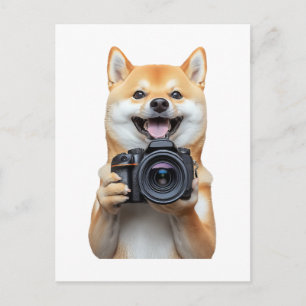 Shiba Inu     Postcard