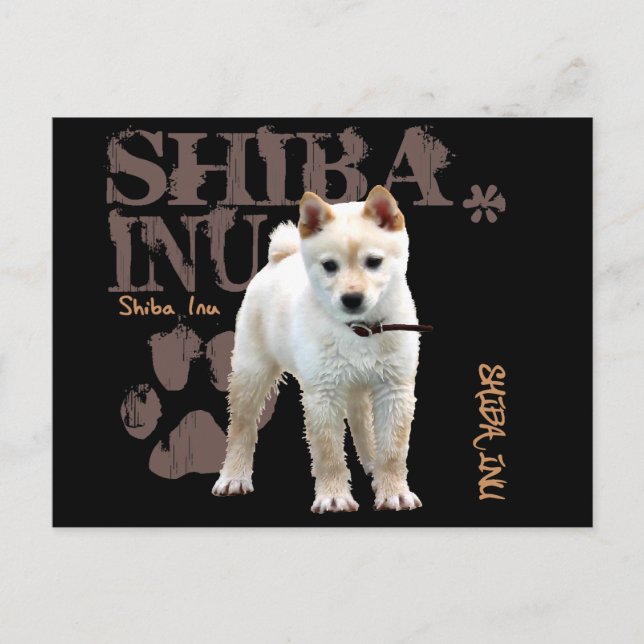 Shiba Inu Postcard (Front)